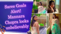 Mannara Chopra flaunts her traditional look in beautiful saree