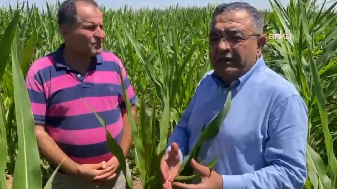 Diyarbakır’da çiftçiler ve CHP’li Tanrıkulu: AKP iktidarları döneminde çiftçiler fakirleşmiştir