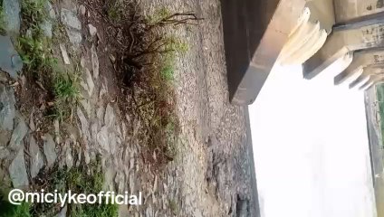 beautiful waterfall  #water #waterfall