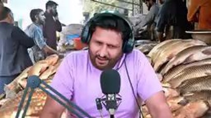 male and female fish very funny call