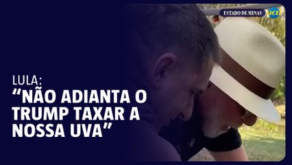 'Estou plantando comida, não ódio': Lula manda recado a Trump do seu jardim