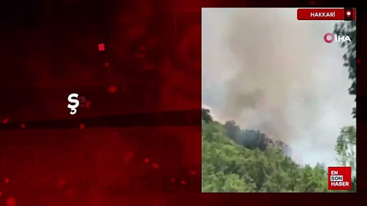 Hakkari Şemdinli'de orman yangını