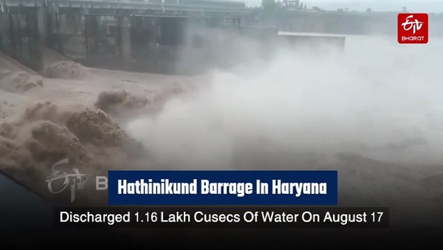 Haryana's Hathinikund Barrage Discharges 1.16 Lakh Cusecs of Water, Flood Threat Looms Over Delhi