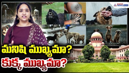 Supreme Court Order on Stray Dogs Debate: మనిషి ముఖ్యమా? లేక కుక్క ముఖ్యమా? | Asianet News Telugu