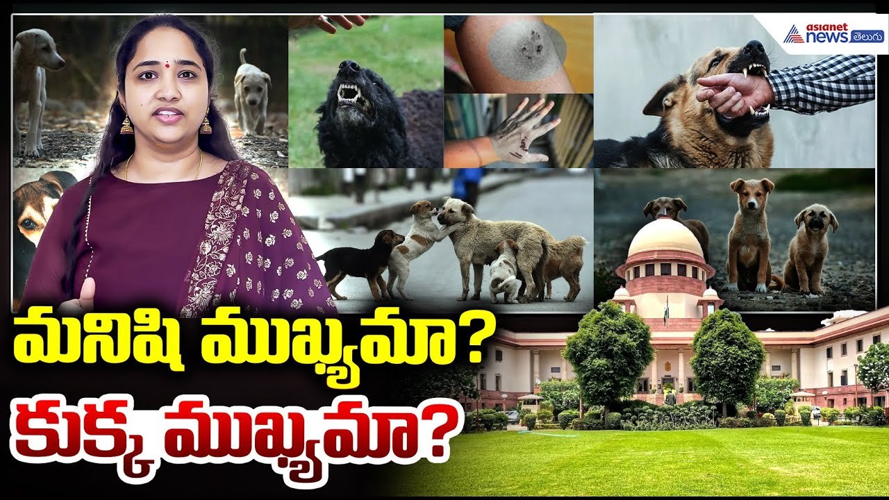 Supreme Court Order on Stray Dogs Debate: మనిషి ముఖ్యమా? లేక కుక్క ముఖ్యమా? | Asianet News Telugu