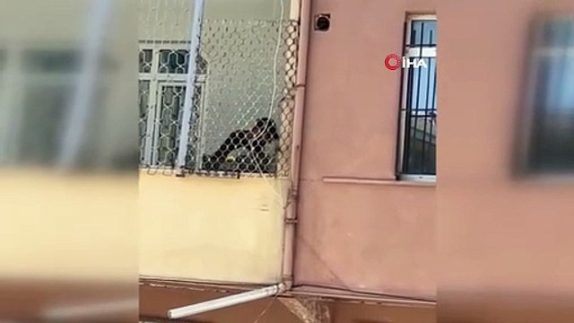 Bu kadarına da pes: Herkesin gözü önünde güpegündüz hırsızlık yaptılar!