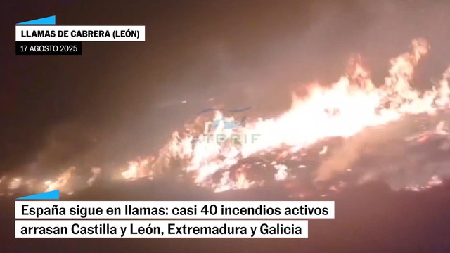 España sigue ardiendo: hay casi 40 incendios activos que arrasan Extremadura, Castilla y León y Galicia