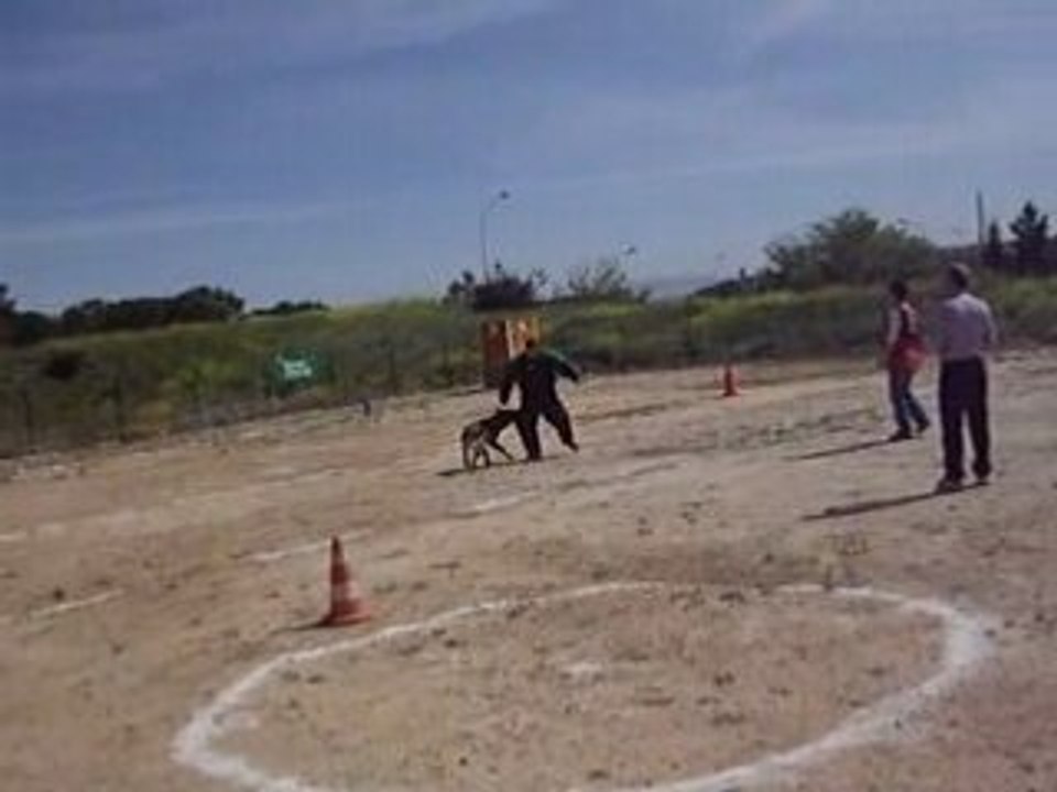 Barak.defense