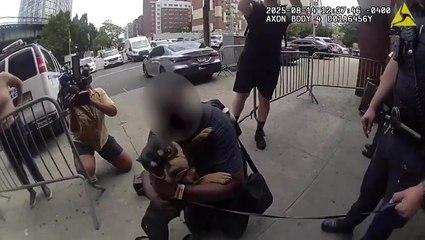 Moment stolen dog is reunited with owner after subway theft