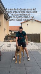 Envoie ça à ton pote le clébard