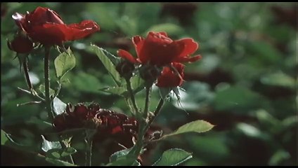 Kobieta za lada S01E09