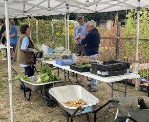 Derry's Field Allotments Woking open day