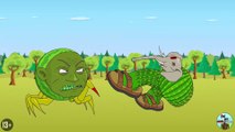 LIN GANG MELON SPIDER R.I.P SAD STORY! Lin Gang Guli Guli Cartoon Animation