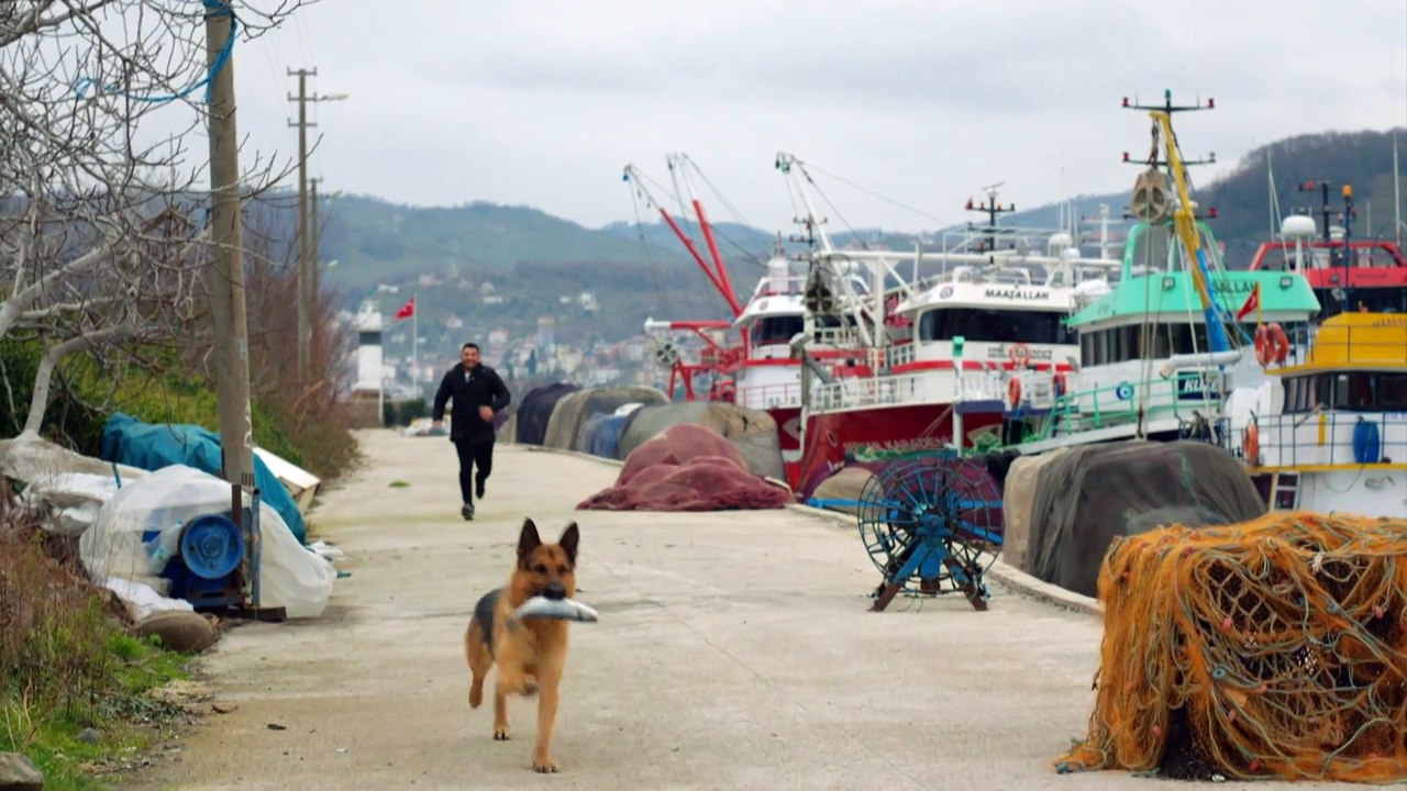 Yıldız, un amor indomable - Capitulo 192 (Español)