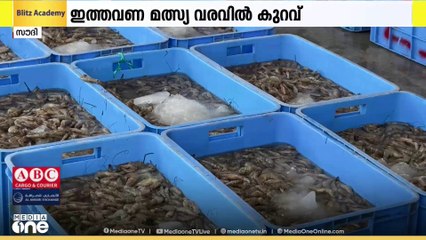 സൗ​ദിയിൽ ട്രോളിംഗ് നീങ്ങി... മത്സ്യ വിപണി വീണ്ടും സജീവം..