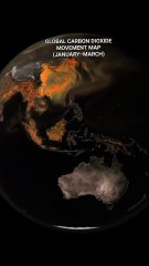 Global Carbon Dioxide Movement