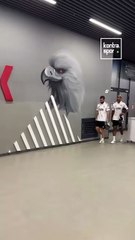 Rafa Silva's Last-Minute Goal Secures Beşiktaş Victory Against Eyüpspor ⚽