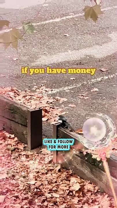 If you have money rules can be flexible #BR3 #lessons #motivational #success #motivation