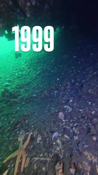 Kocaeli Merkez üssü Gölcük olan 7,4 büyüklüğündeki17 Ağustos 1999 Marmara Depremi, 26 yil önce büyük yıkıma ve can kaybina yol açti. Deprem sirasındaDeğirmendere Mahallesi Çınarlık Meydani'ndaki kıyı hattınin bir bölümü denize gömüldü, binalar, araçlar