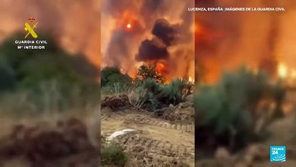 Críticas contra Pedro Sánchez por lenta respuesta a la ola de incendios en España