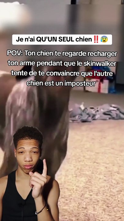 Qui est mon vrai chien _😰
