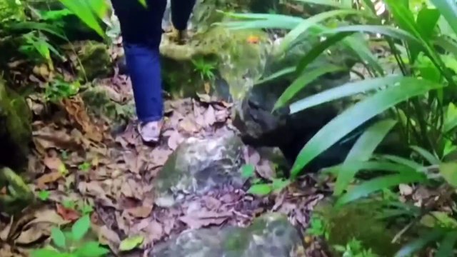 Los Lugares Más Raros de Venezuela 😲 | Aventura, Misterio y Secretos Ocultos