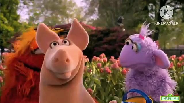 sesame street episode 4162 season 36 version