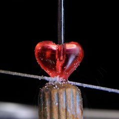 Une bague abordable, un look glamour : Voyez l'éclat de cette bague !