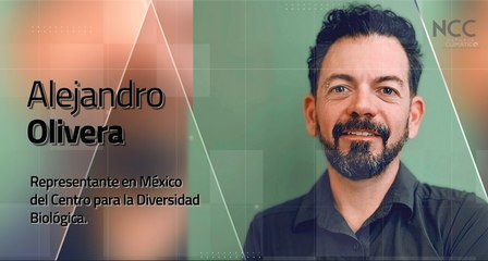 Reporte Climático 211 | Vaquita marina, al borde del abismo
