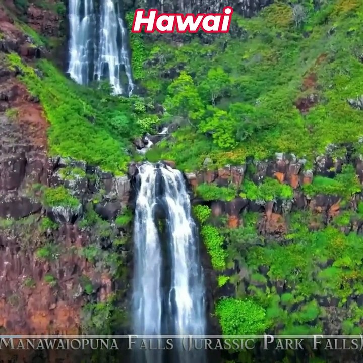 HAWAI-SHORT REELS-A-2