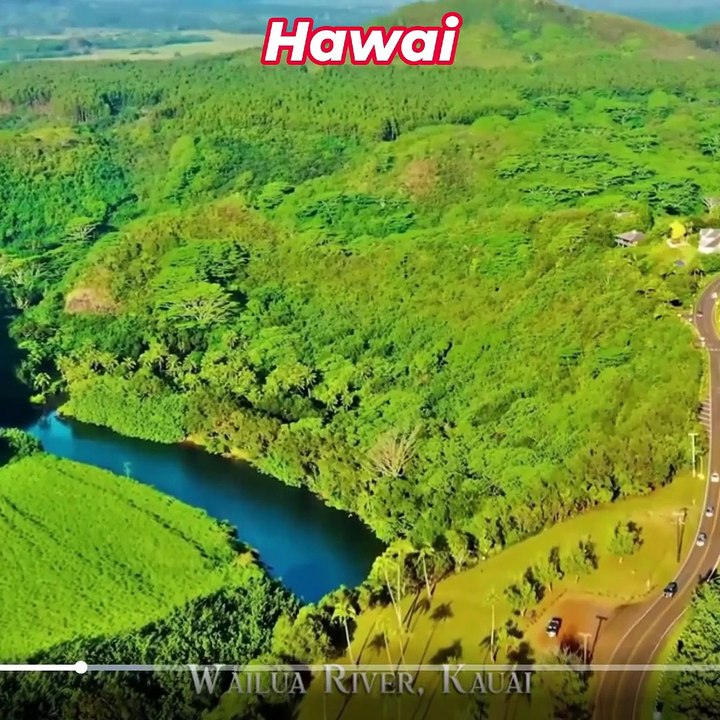 HAWAI-SHORT REELS-A-3