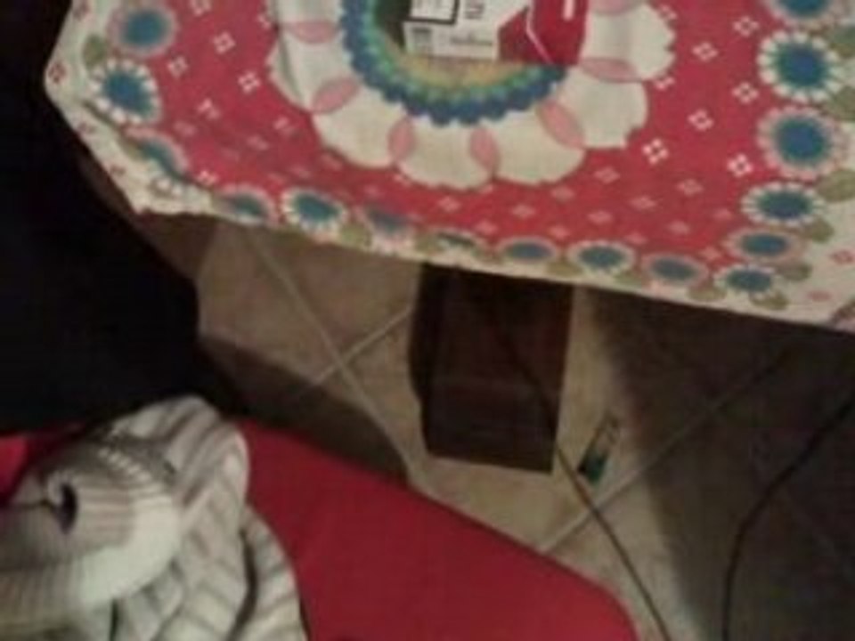 Remi nus rap francais