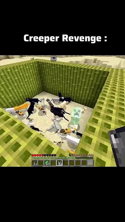 Creeper Revenge in Minecraft! 😼