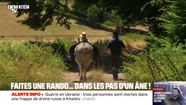 Il y a une intimité qui va se créer : le succès des randonnées dans les pas d'un âne