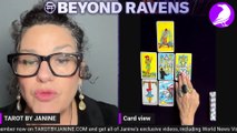 Beyond Ravens with JANINE 2025