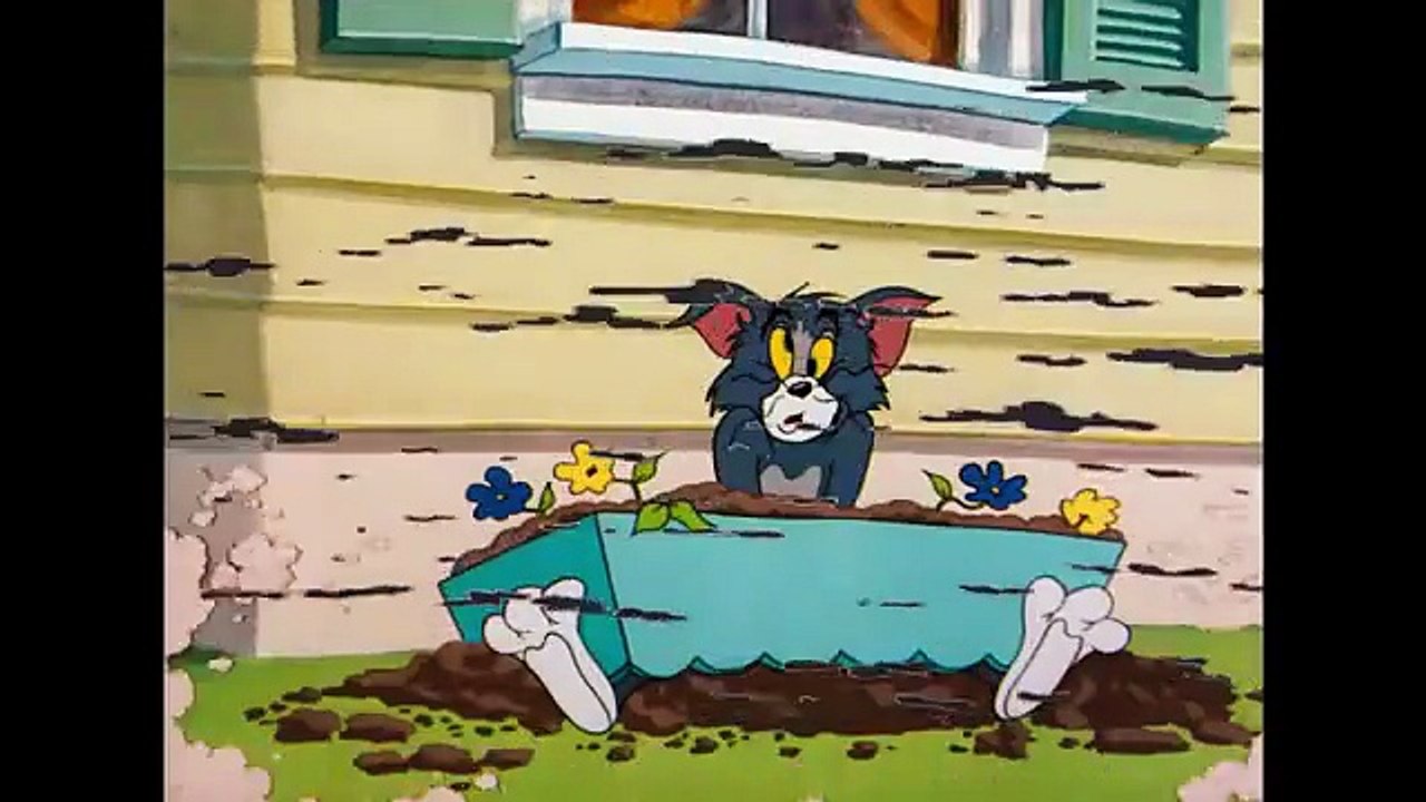Tom_and_Jerry___Mega_Compilation___Vol._5___Warner_Classics(360p)