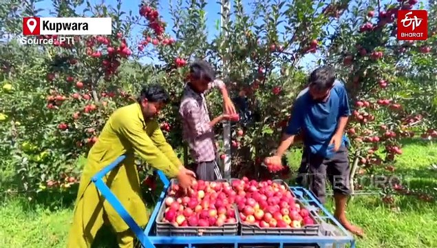 Five Kanwariyas Killed, 23 Injured In Bus-Truck Collision In Jharkhand's Deoghar