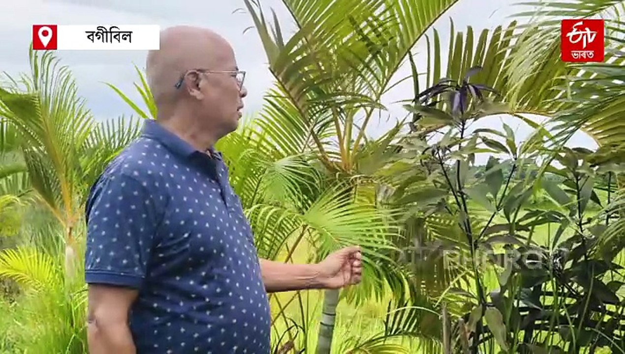 দেশতকৈ বিদেশৰ কোটি টকাৰ লোভনীয় চাকৰি ডাঙৰ নহয় যাৰ বাবে, সেই মানুহজনৰ কথাৰে