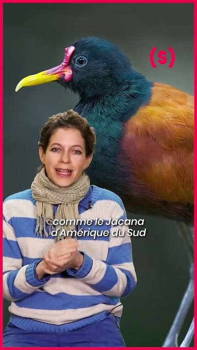 5 faits à dégainer quand on vous sort des arguments se*istes du genre « C’est contre nature’han »
