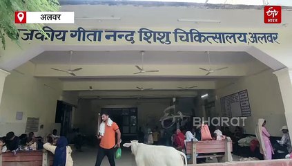 अलवर के पालना गृह ने नवजातों को दिया 'नया जीवन', बीते 10 साल में 45 से ज्यादा मासूमों को मिला मां का आंचल