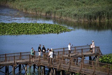 Onlarca tür kuş ve muhteşem manzara: Üstelik büyük şehirlere çok yakın