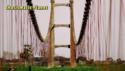 Opiki Toll Bridge: New Zealand’s Historic Flax Industry Connection