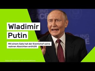 Wladimir Putin: Mit einem Satz hat der Kremlchef seine wahren Absichten enthüllt