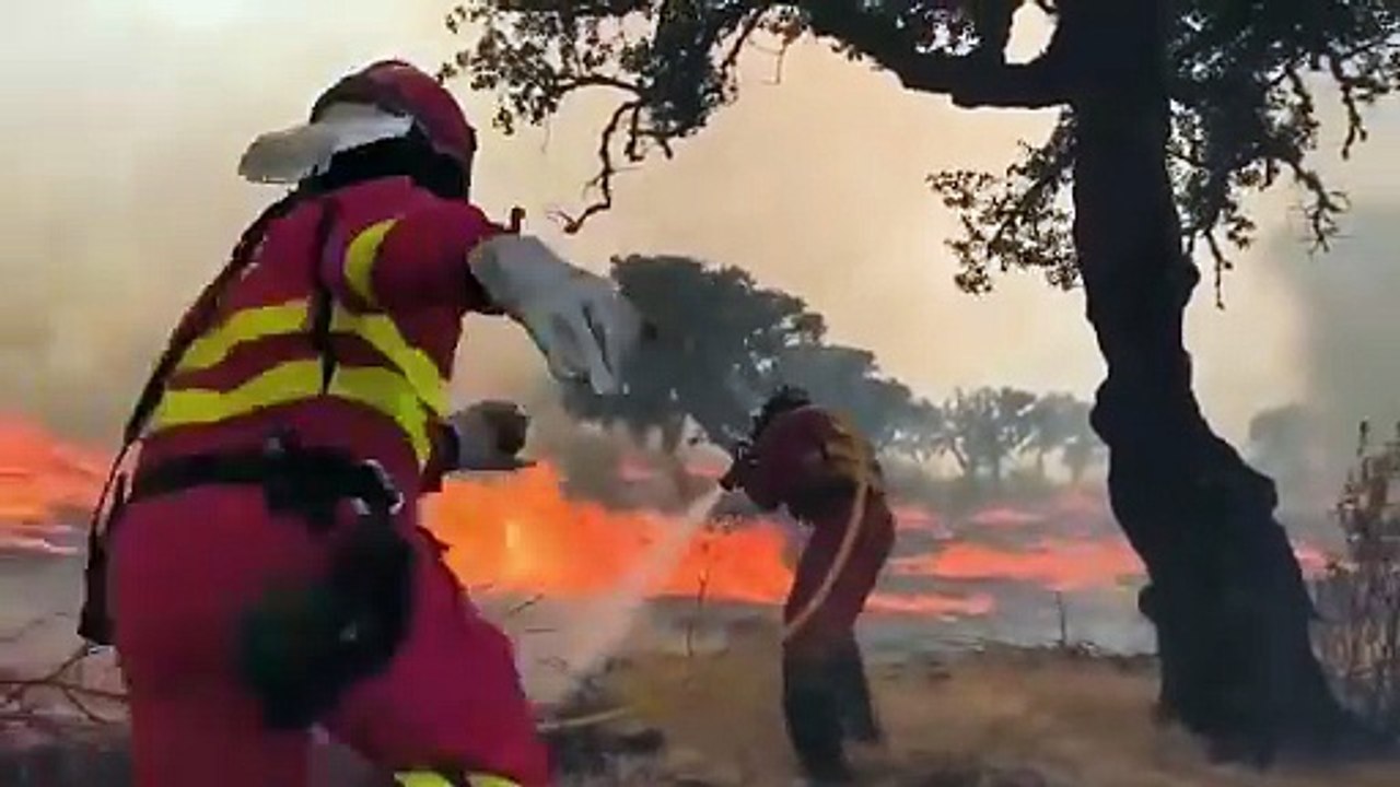 Fallece un bombero en las labores de extinción de los incendios en Espinoso de Compludo (León)