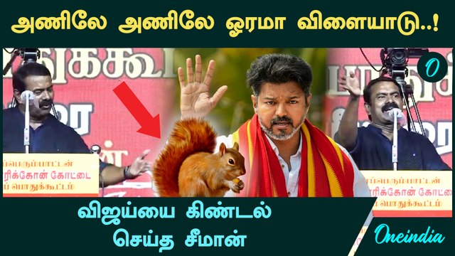 Seeman Speech on Vijay | TVK | அணிலே அணிலே ஓரமா விளையாடு..! - Vijay -யை கிண்டல் செய்த Seeman