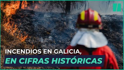 INCENDIOS en ESPAÑA: Galicia, en cifras históricas