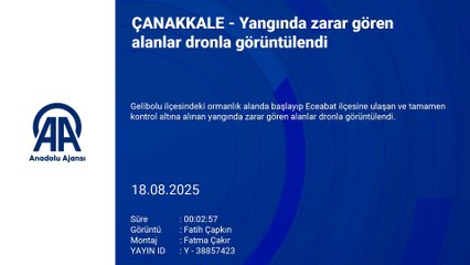 Kahreden görüntü Çanakkale\'den! Ciğerlerimiz kül oldu