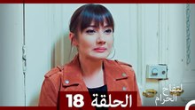 التفاح الحرام الحلقة ال 18 (Arabic Dubbed) HD
