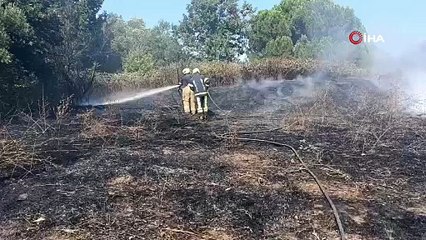 Erdek’te Zeytinlik Alanda Yangın Paniği