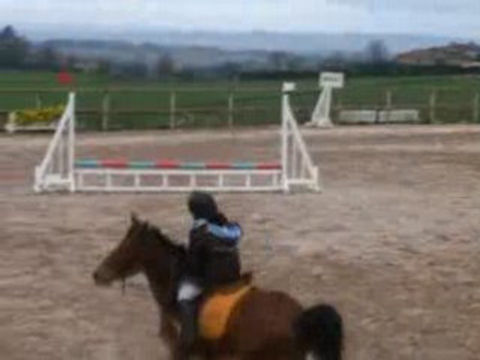 Concour cheval  juju